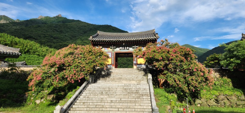 KakaoTalk_20250719_175759152_05.jpg