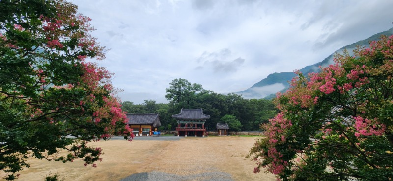 KakaoTalk_20250720_081757317_02.jpg