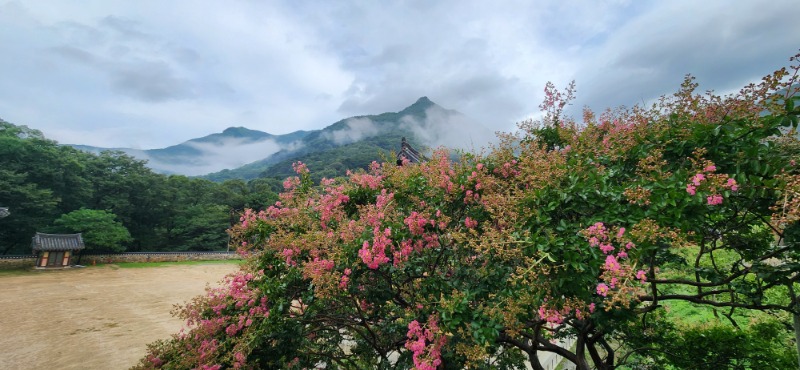 KakaoTalk_20250720_081757317_01.jpg