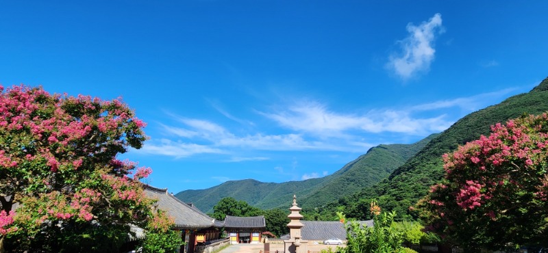 KakaoTalk_20250722_084734412.jpg