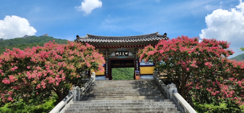 KakaoTalk_20250724_084257963_05.jpg