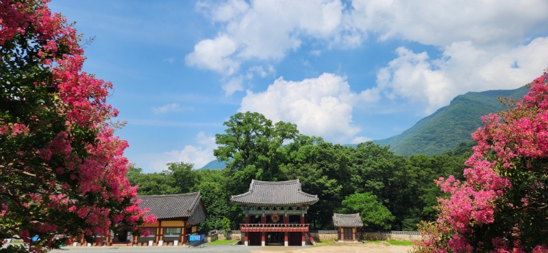 KakaoTalk_20250724_084257963_04.jpg