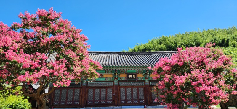 KakaoTalk_20250724_110753430_02.jpg