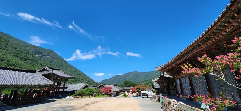 KakaoTalk_20250724_110753430.jpg