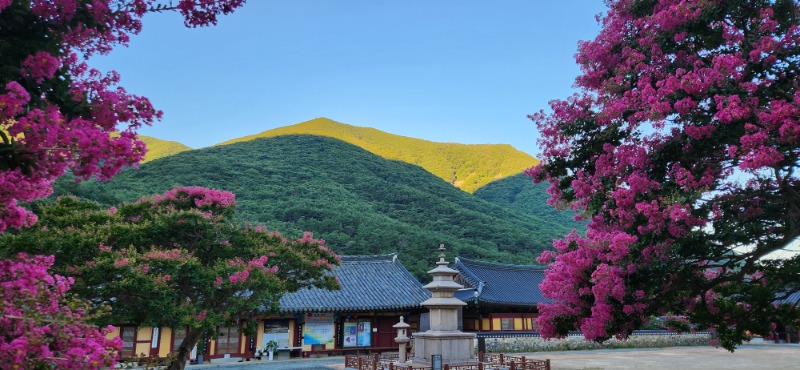 KakaoTalk_20250725_083033971_02.jpg