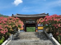 KakaoTalk_20250724_084257963_05.jpg