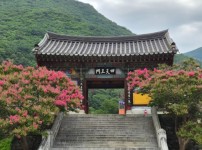 KakaoTalk_20260717_084733288.jpg