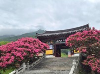KakaoTalk_20260723_095038855_03.jpg